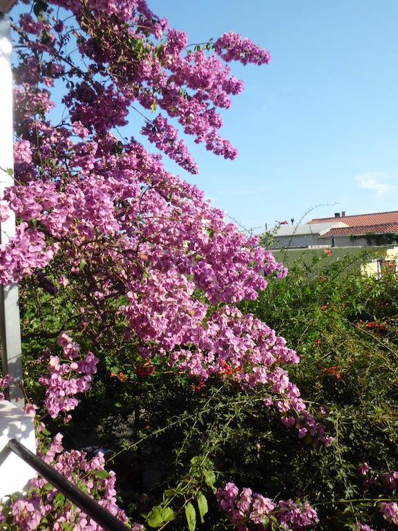 Apartments Viskovic Makarska Exteriör bild